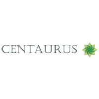 Centaurus-Service Conseil des Services Conseils Logo