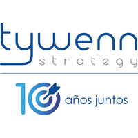 Tywenn Strategy Logo