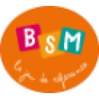 BSM - Le jeu de référence Logo