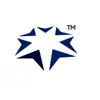 Bluestar AMG Logo