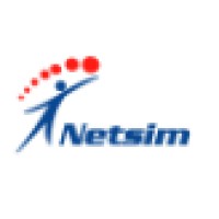 Netsim Logo