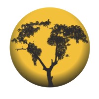 GroundTruth Consulting Ltd Logo