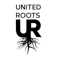 United Roots | Youth Impact Hub Logo