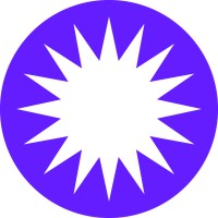 Observation Group Inc. (OBSV Group) Logo