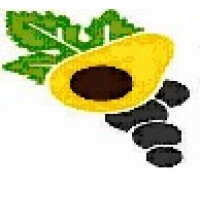 Fundo Los Paltos SAC Logo
