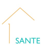 domisante Logo