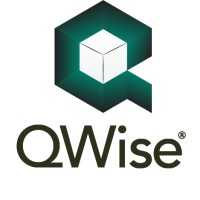 Q Wise Logo