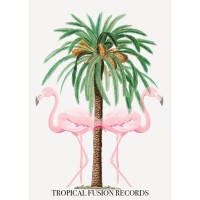 Tropical Fusion Records Logo