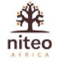 Niteo Africa Logo