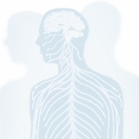 North Shore Radiology and Nuclear Medicine Logo