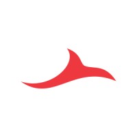 Nienkerke-Springer Consulting Logo
