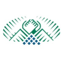 Mountain Telephone Logo