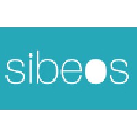 SIBEOS, Digital Professionals Logo