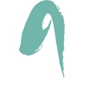 asensei Logo