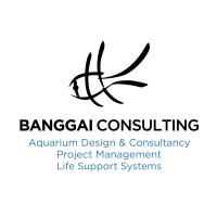 Banggai Consulting Limited Logo