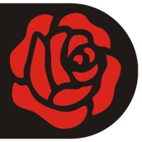 DV Power Logo
