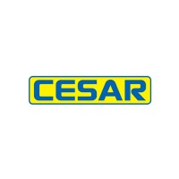 Grupo Cesar Logo