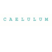 Caelulum Limited Logo
