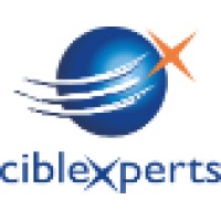 Ciblexperts Logo