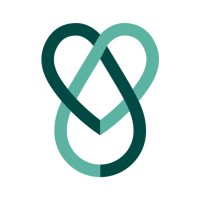 Directed Systems Ltd Logo