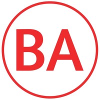 Business Analyst Logo