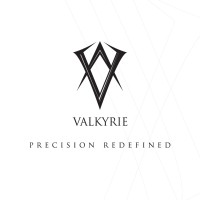 Valkyrie DMCC Logo