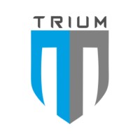 Trium Designs Pvt. Ltd. Logo