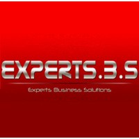 Experts Business Solutions Logo