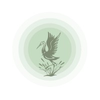 The Jade Sun School of Tai Chi & Qi Gong Logo