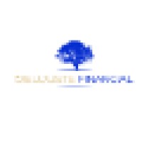 Dieujuste Financial Logo