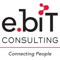 e.biT Consulting Logo