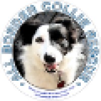 All Border Collie Rescue Logo