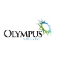 Olympus Solutions Logo