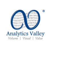 Analytics Valley Technology Private Limited Logo