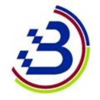 Baseline Project Management Services LLP Logo