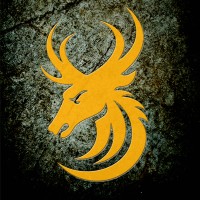 Team Wild TV Logo
