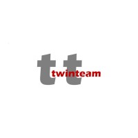 Twinteam srl Logo