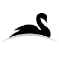 Black Swan Financial Planning Logo