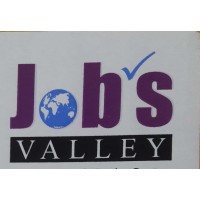 Jobs Valley/Naukri N Placements Logo