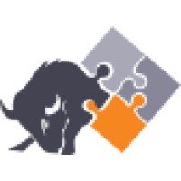 Bison Solutions Group Logo