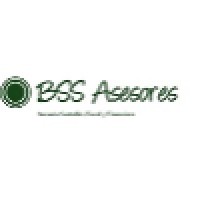 BSS Asesores Logo