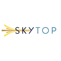 Skytop Strategies Logo