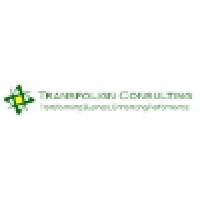 Transfolign Consulting LLP Logo