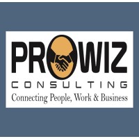 Prowiz Consulting Logo
