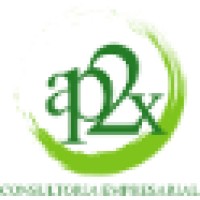 AP2X Consultores Ltda. Logo