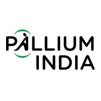 Pallium India Logo