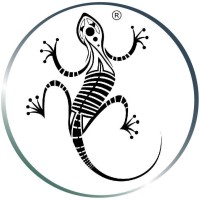 HZL Logo