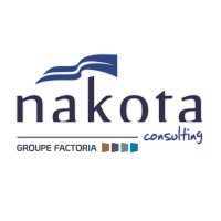 NAKOTA CONSULTING Logo