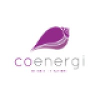 Co-Energi (Pvt) Ltd Logo