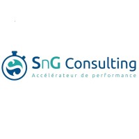 SnG Consulting Logo